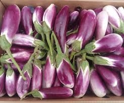 بتنجان مخدد