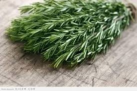 زعتر / روزماري فريش