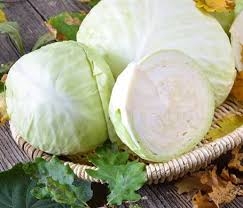 كرنب سلطه ابيض