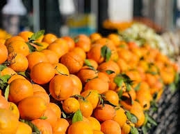 برتقال بصرة فلاحي